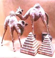 pair of camels